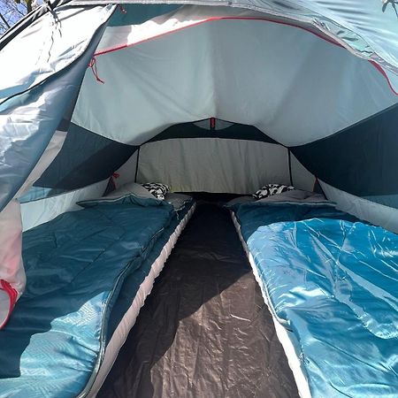 The Esn Kingsday Campsite Amsterdam Eksteriør bilde