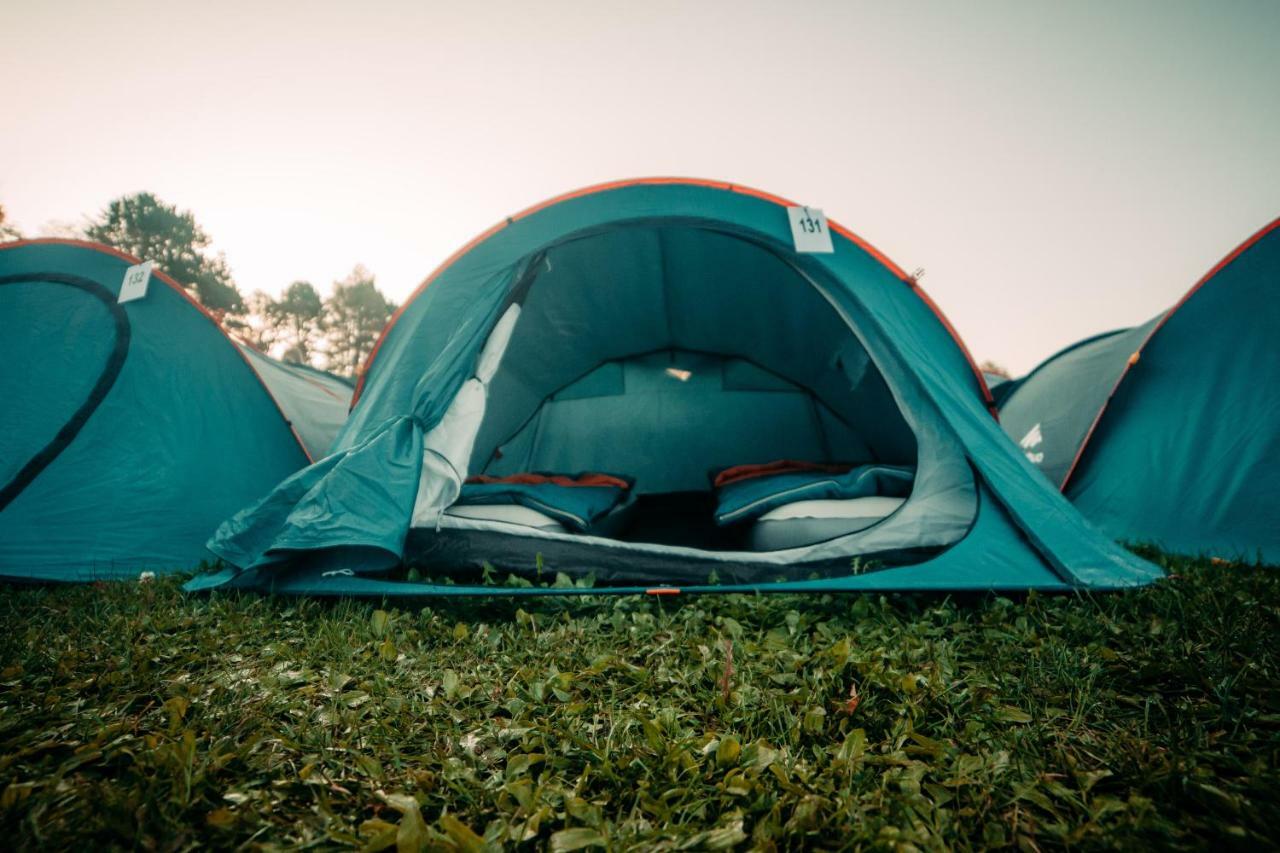 The Esn Kingsday Campsite Amsterdam Eksteriør bilde